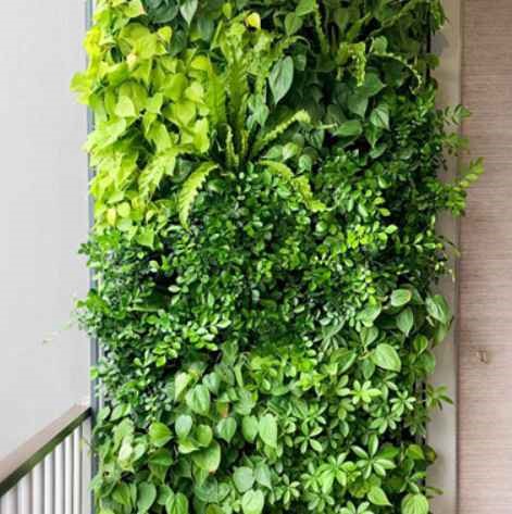 VERTIKÁLNÍ ZAHRADY